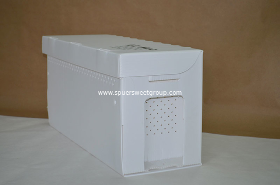 Queen Rearing PP plastic corrugated nuc box for beekeeping