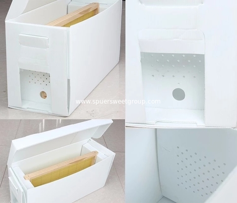 Queen Rearing PP plastic corrugated nuc box for beekeeping