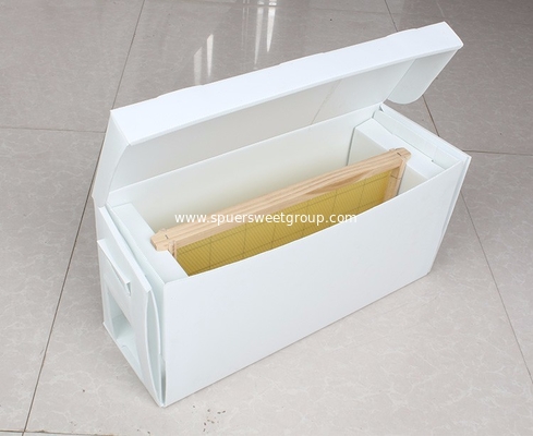 Corrugated PP Mating Nuc Bee Box for Queen Rearing