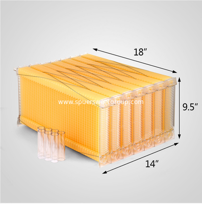 Newly Design Auto Flow Beehive Frame Kit 7pcs Flow Frames