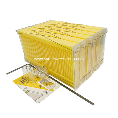 Chinese Wax-Coated Cedar Wood Automatic Self-Flowing Honey Bee Hive 7 Auto Frames Apiculture Beekeeping Equipment Tool