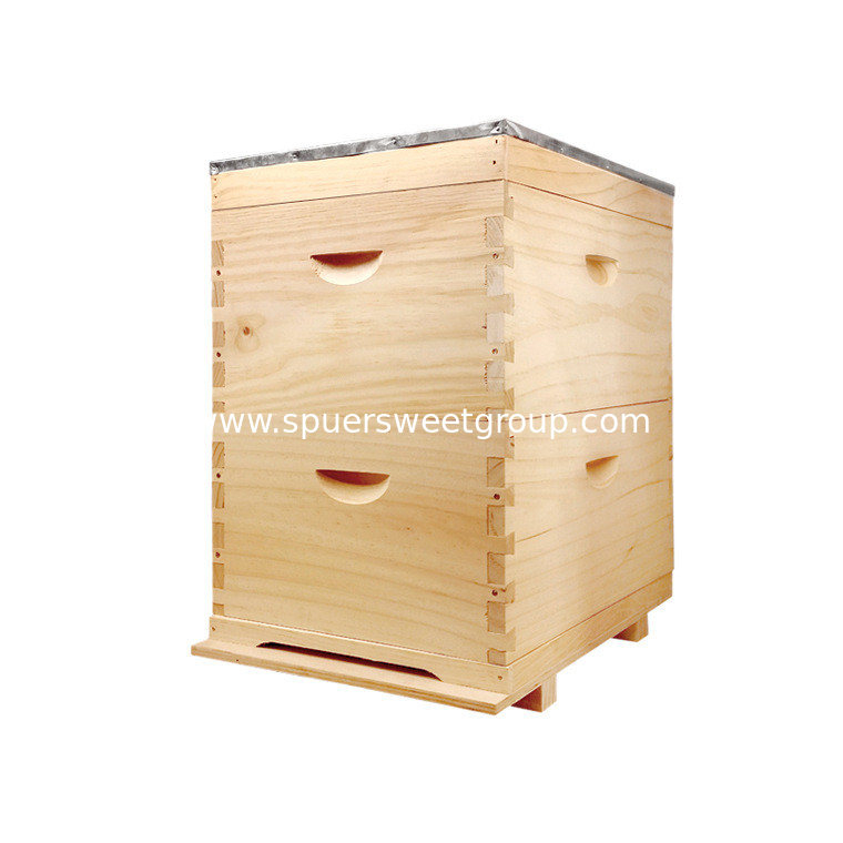 20 frame/box 2 Layers Full Depth Australia Langstroth Beehive with 2 bee boxes made from New Zealand Pine