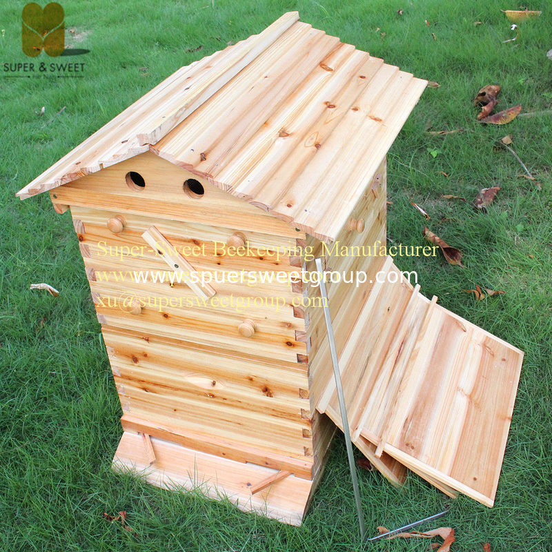 Manufactruer supply china fire&Pine Langstroth hive with 7pcs self-flowing honey hive frames