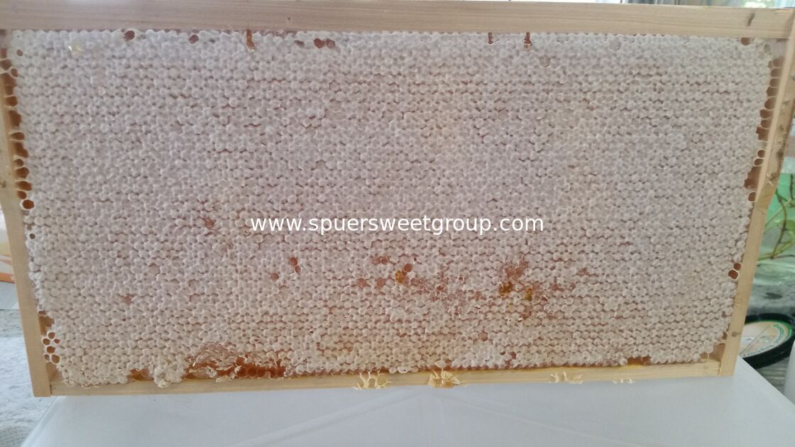 Best Quality Natural Raw Honeycomb Edible Wildflower Honey 100% Pure Bee Farm Halal ISO Certified Bulk 2kg Whole Frame Beehive
