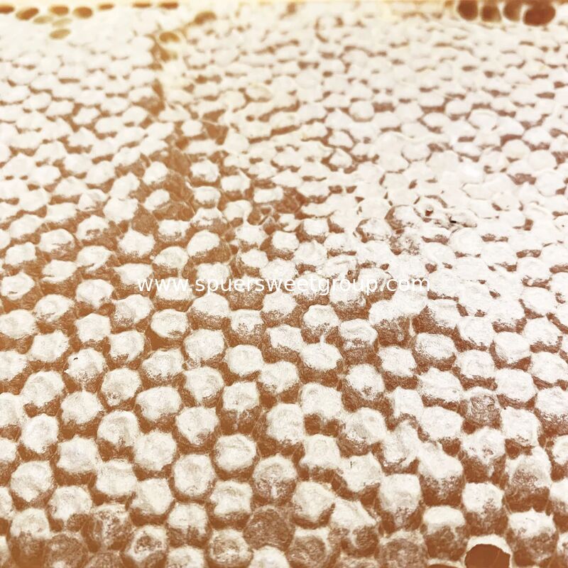 100% Organic Pure Natural Raw Honeycomb Bulk Wholesale Fresh Comb Honey with Whole Frame From China Wild Bees Premium Quality