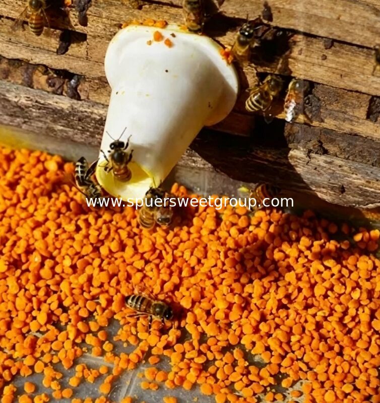 Supply Wholesale 100% Pure Natural Fresh Selected Granular Tea Bee Pollen Food Grade Bulk 20kg Carton Direct Healthy Food